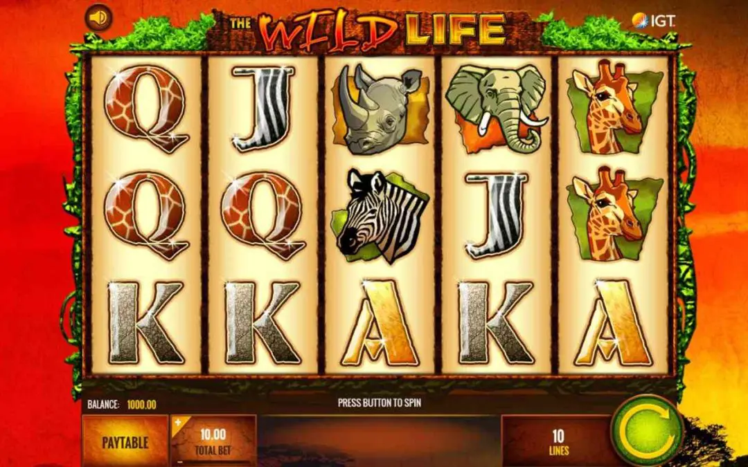 The Best Animal-Themed Slots You Can Play Online – Top Picks for Animal Lovers
